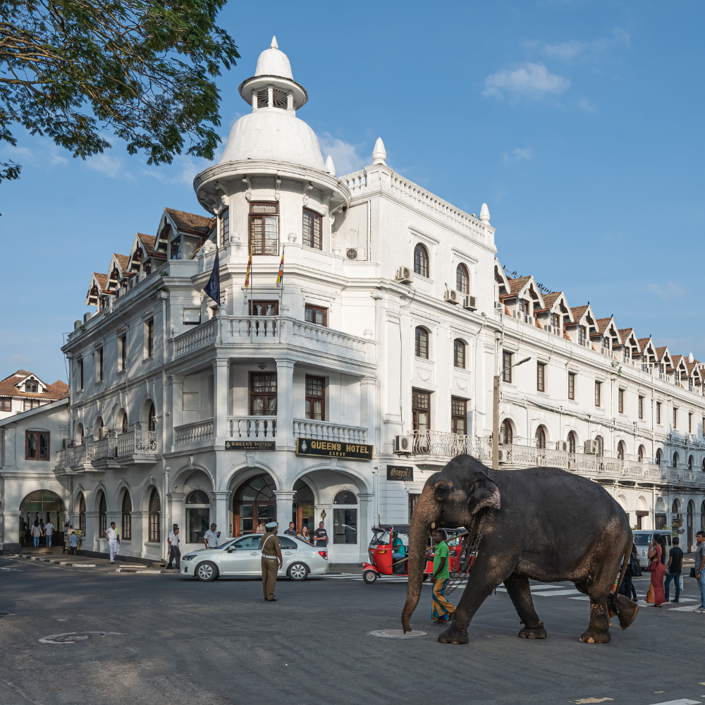 Sri Lanka Tour Itinerary 5 Days from US$ 460 Per Person