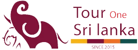 touronesrilanka.com